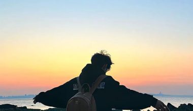 壁纸 | iOS18全景壁纸 （4K超清） - 炫图天下