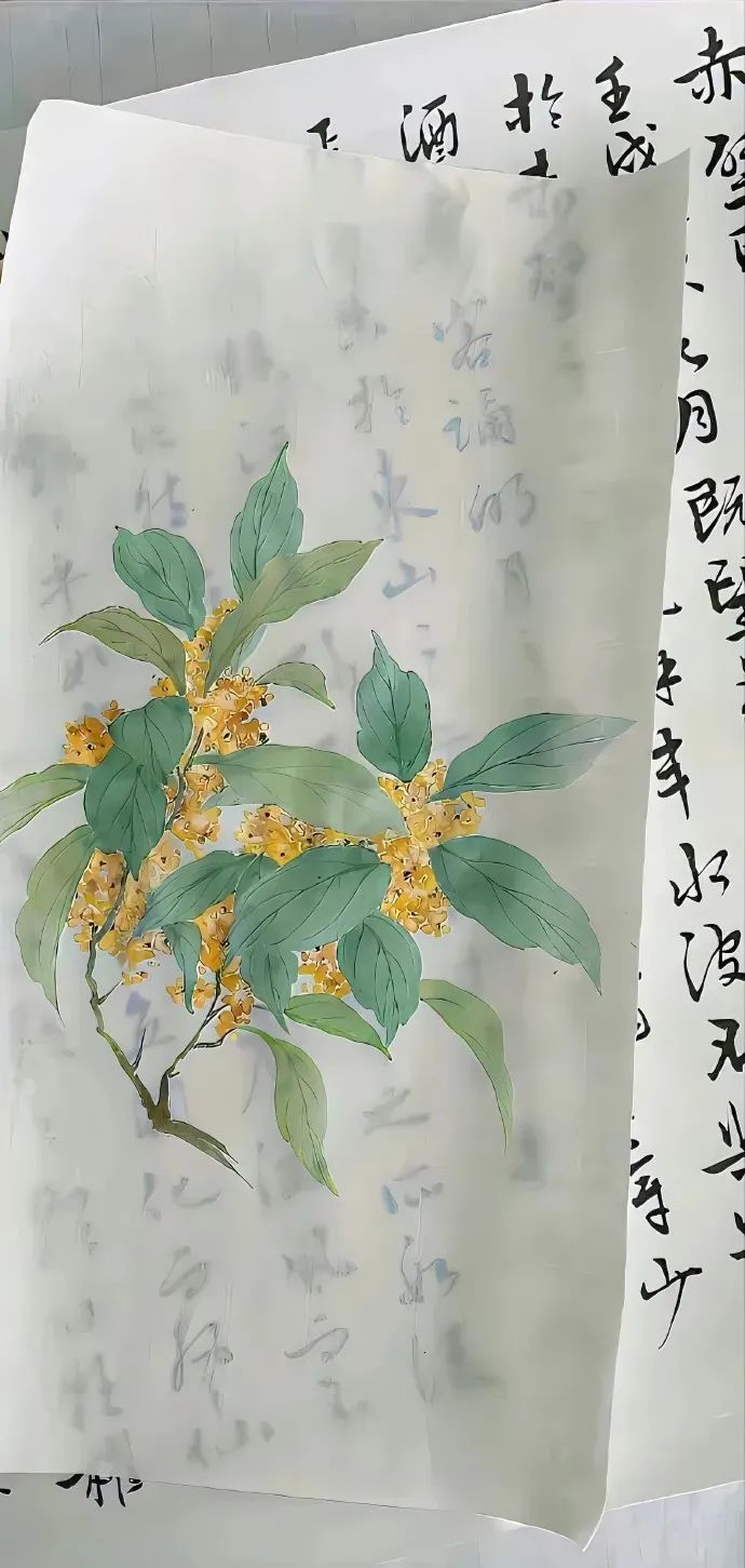 ◽️?????????壁纸｜会被别人夸好看的壁纸 ​​​ - 炫图天下