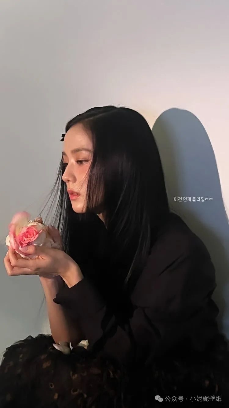 Blackpink朴彩英与金智秀广告写真大比拼：你更爱哪一款？|壁纸 - 炫图天下