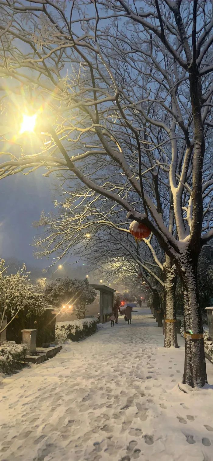壁纸丨唯美浪漫的风景壁纸 - 炫图天下