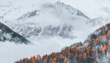 超赞的全面屏壁纸 - 炫图天下