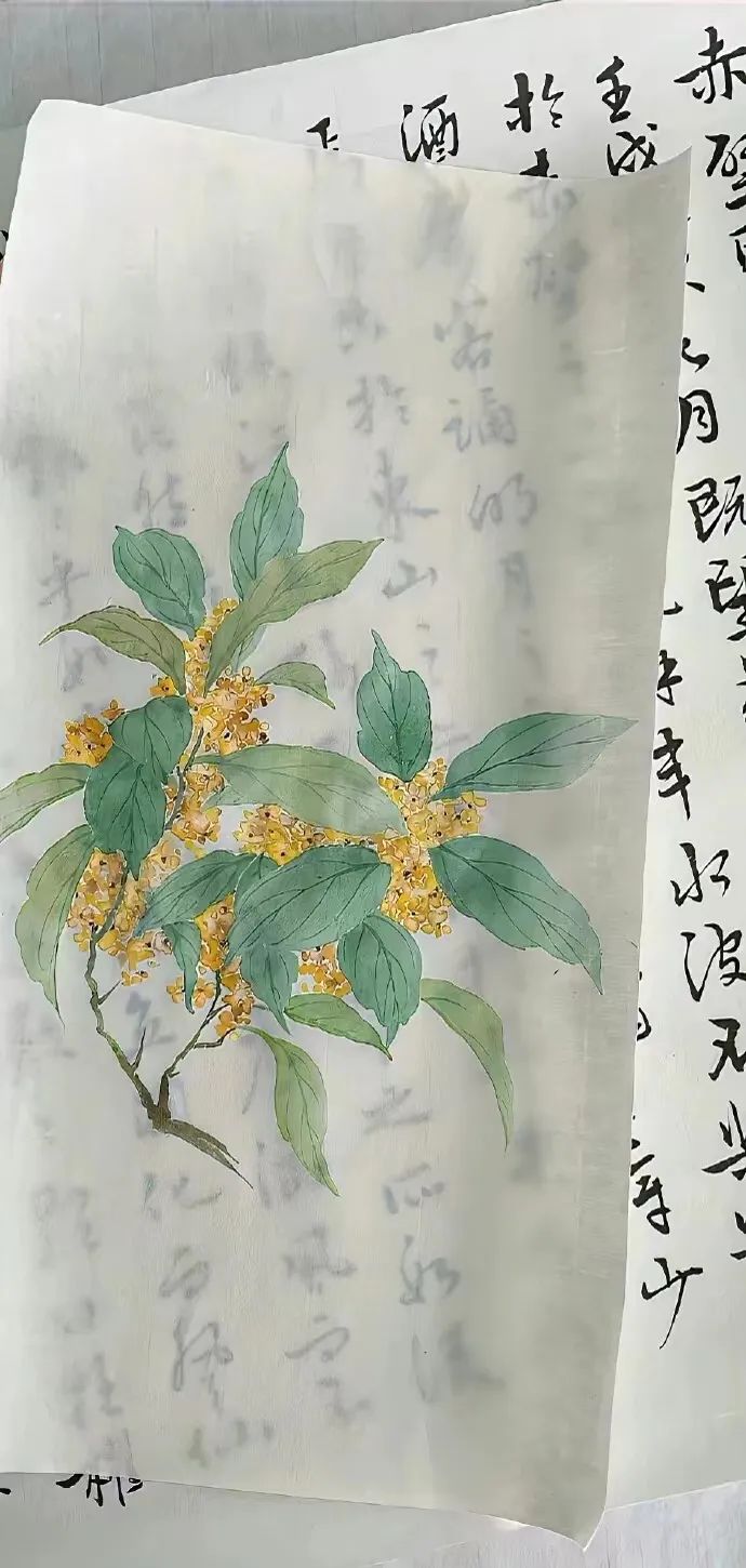 用很久用不腻的壁纸 - 炫图天下