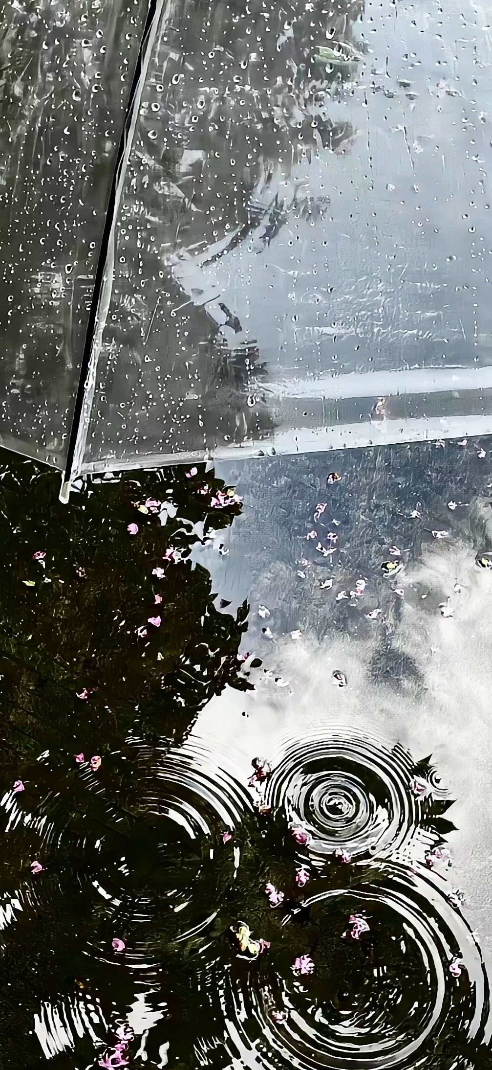 让人爱到不行的全屏壁纸 - 炫图天下