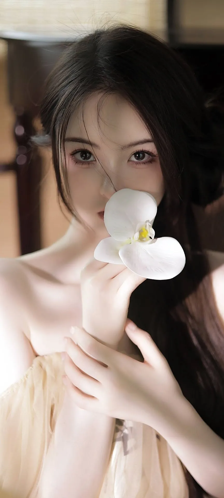 平淡却闪闪发光的美女壁纸 - 炫图天下