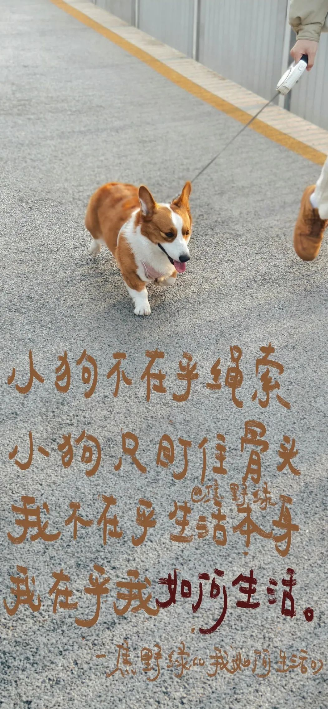 ◽️?????????壁纸｜氛围感高清壁纸大放送 - 炫图天下