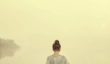 iPhone全面屏手机壁纸 - 炫图天下