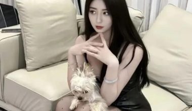 岛国第一美腿！果然名不虚传！很有魅力了！ - 炫图天下