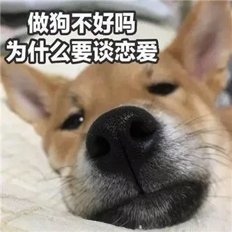 韩国の网红，舒服！ - 炫图天下