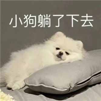 又真又凶，香港网红！ - 炫图天下