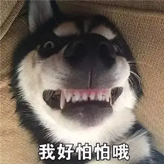 她的曲线，完美​！ - 炫图天下