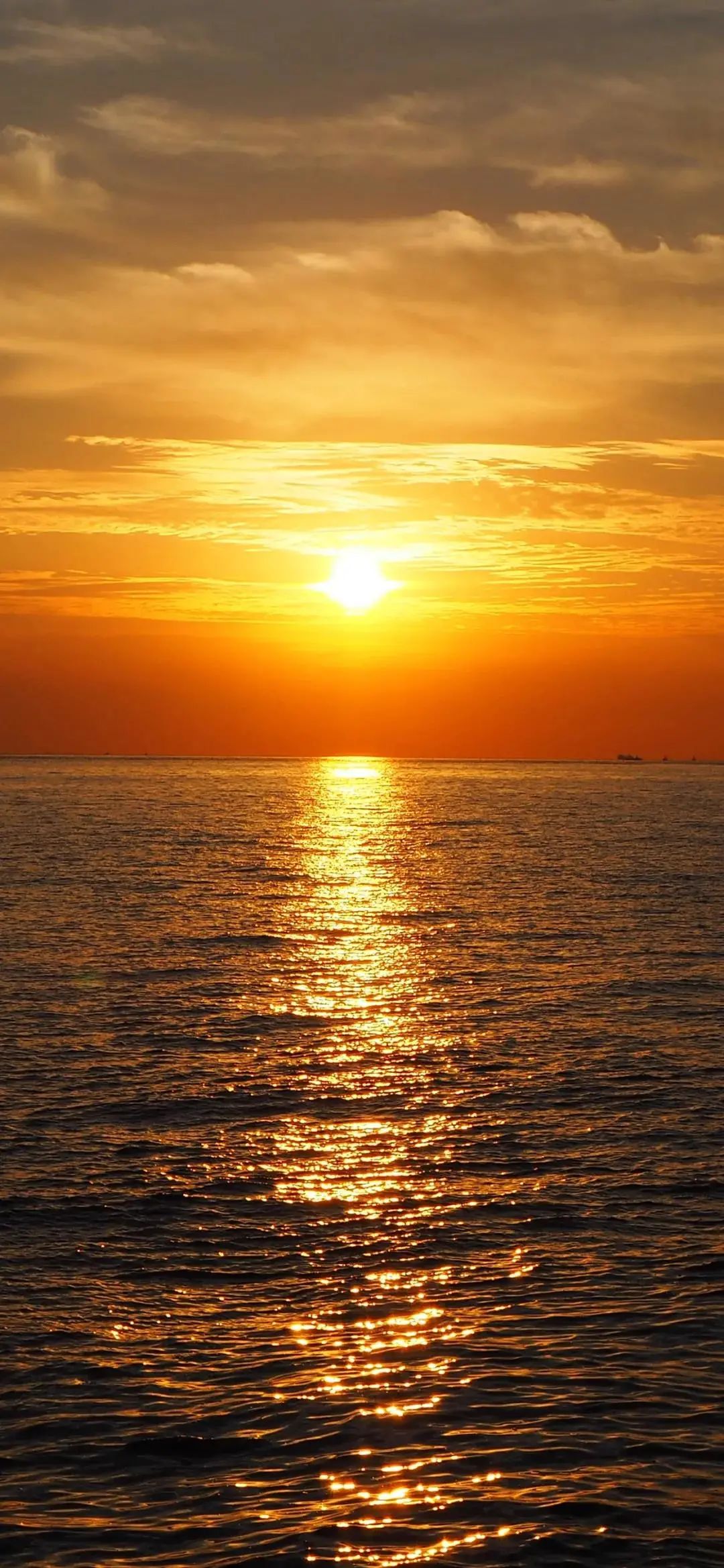 全屏壁纸 | 愿你成为自己的太阳，无需凭借谁的光 - 炫图天下