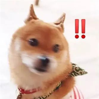 另一个湖人主场の小姐姐！ - 炫图天下