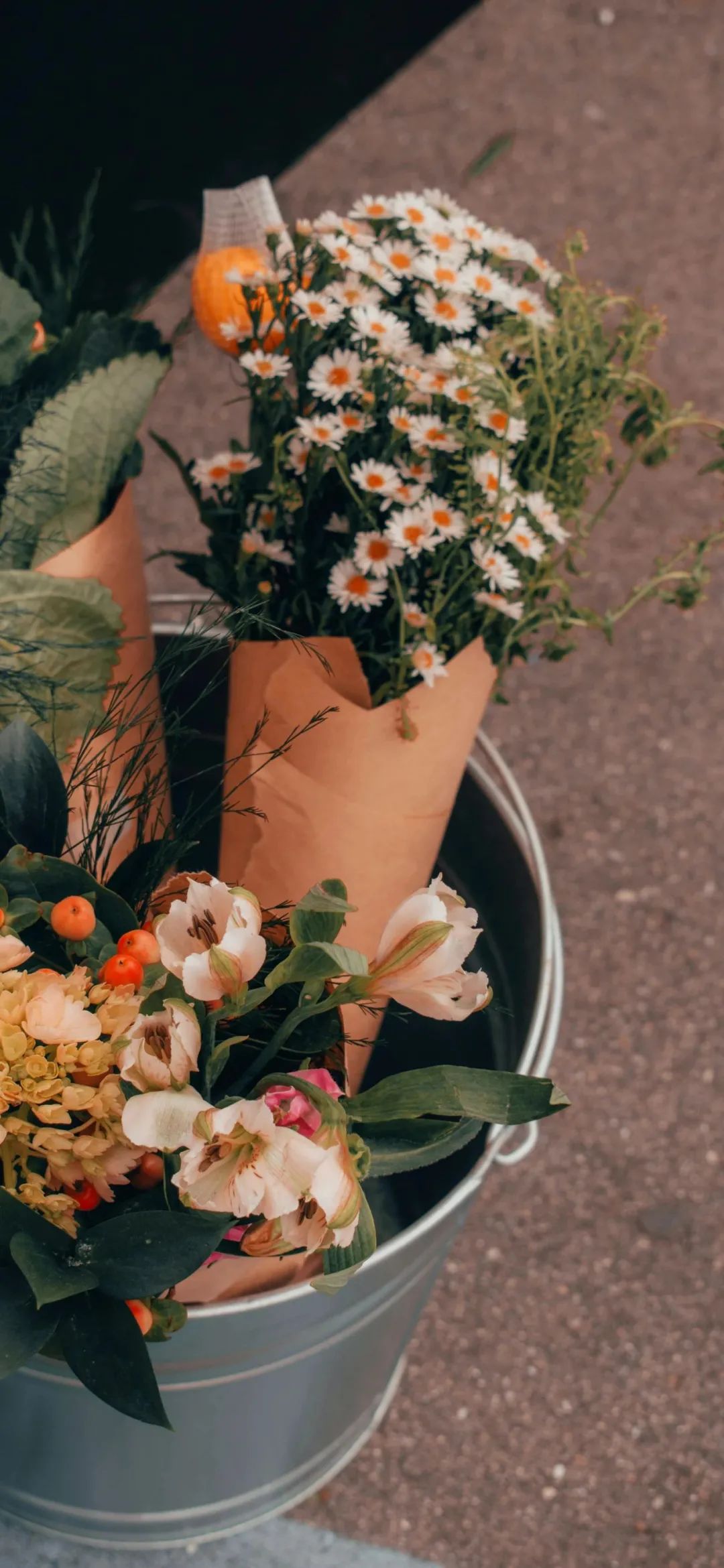 手机壁纸｜你像自由的蝴蝶 花丛中的精灵 - 炫图天下