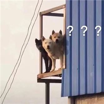 这天赋，什么水平？？ - 炫图天下