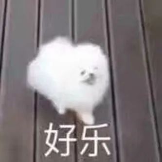 小有名气的网红！ - 炫图天下