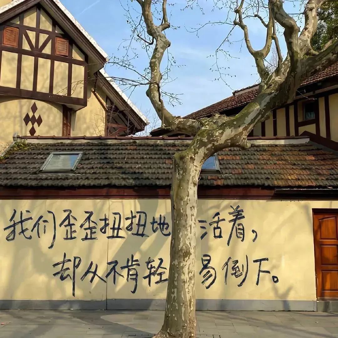 “赌你不敢发朋友圈的句子” - 炫图天下