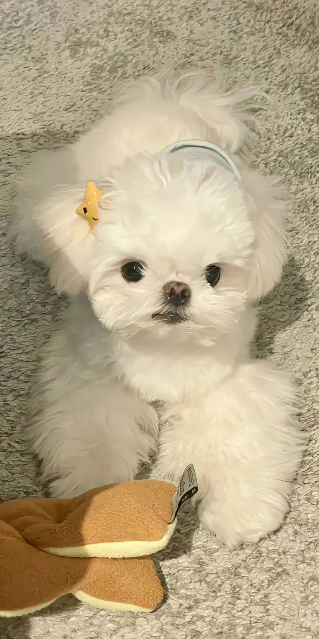 手机壁纸 | 明明渴求快乐 偏偏只有寂寞 - 炫图天下