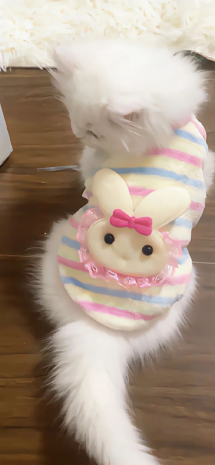 锁屏壁纸 | 快来看看精心挑选的锁屏壁纸 - 炫图天下