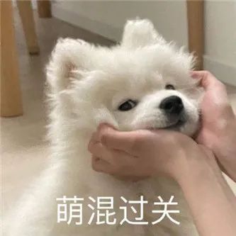 好大的牙套！ - 炫图天下