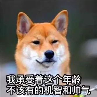 HOW BIG！ - 炫图天下