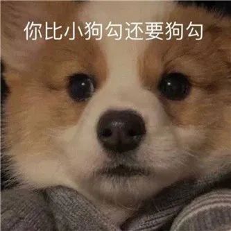 渡边雄太の未婚妻！ - 炫图天下