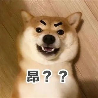 这个网红，像某个明星？ - 炫图天下