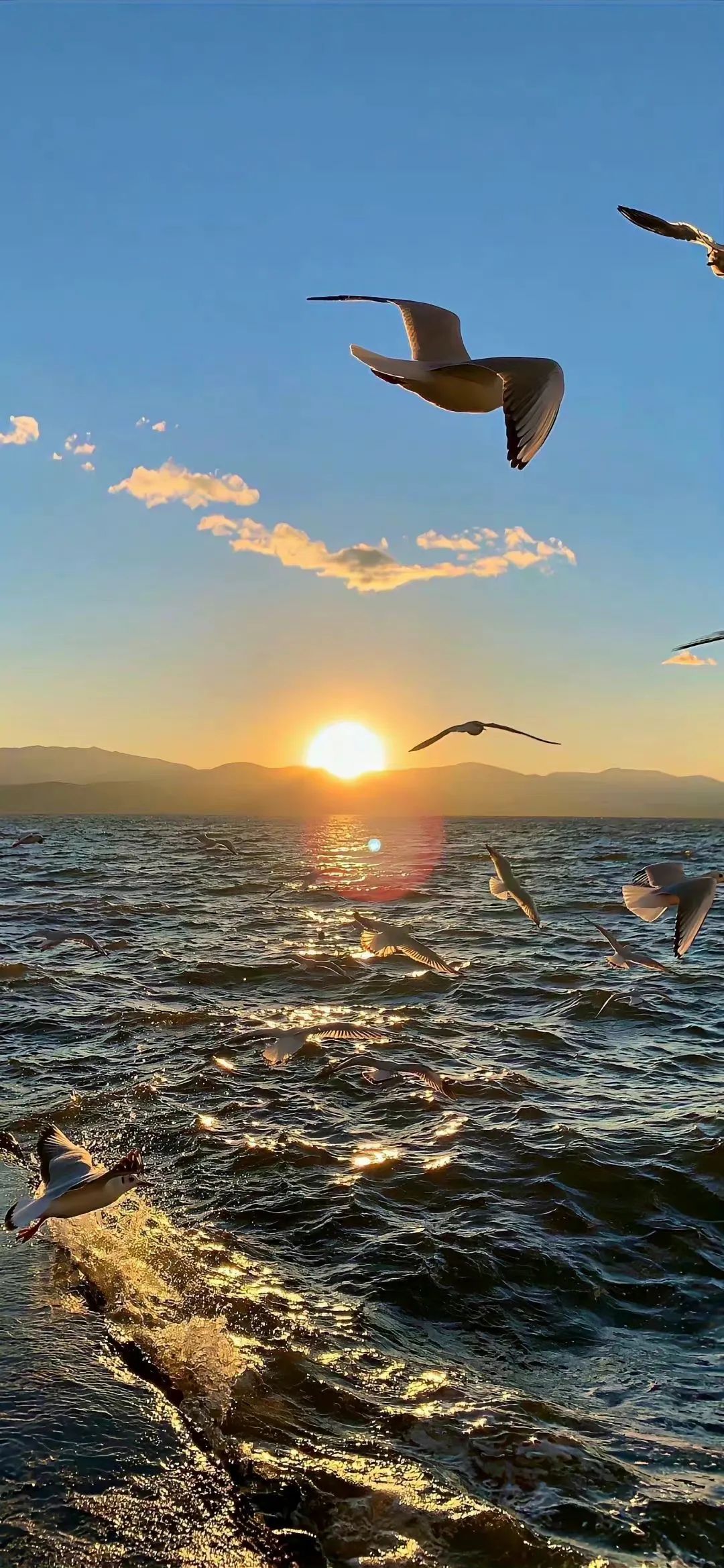 手机壁纸 | 我们爱过的每一天我都记在心里面 就算分开也让你知道对你从没敷衍 - 炫图天下