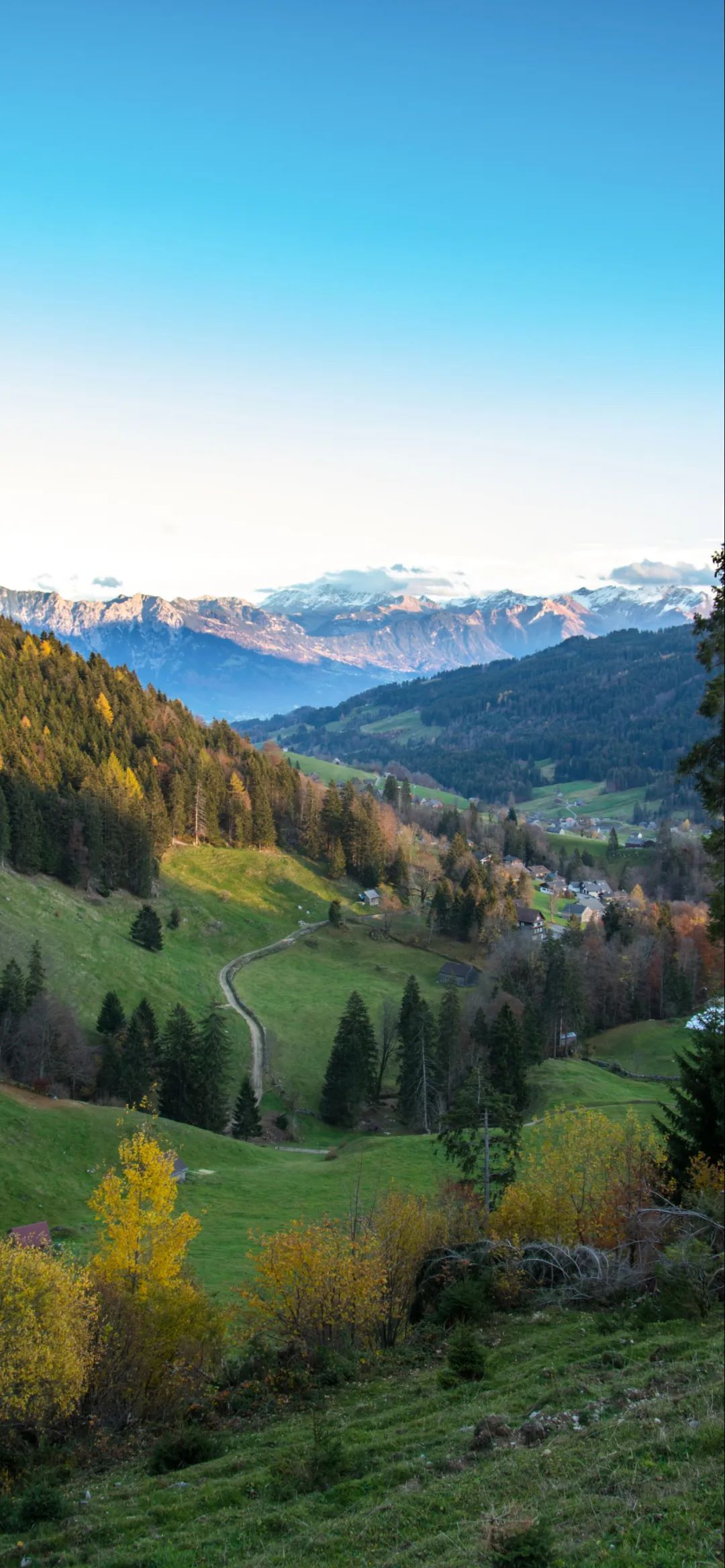 手机壁纸 | 可能枕边有微笑 才能暖你清晨 - 炫图天下