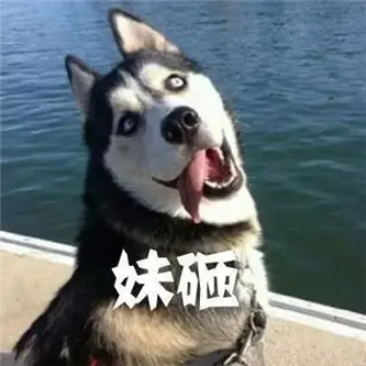 兄弟们，这位是针不戳！ - 炫图天下