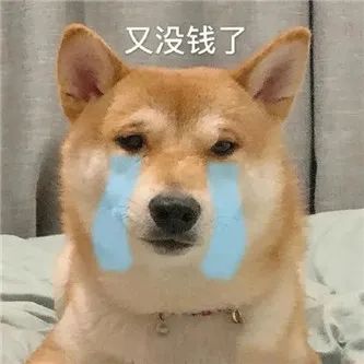 啧啧，极品网红，她不冷吗？？ - 炫图天下