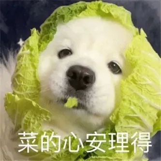 这个啦啦队，你们太喜欢了！ - 炫图天下