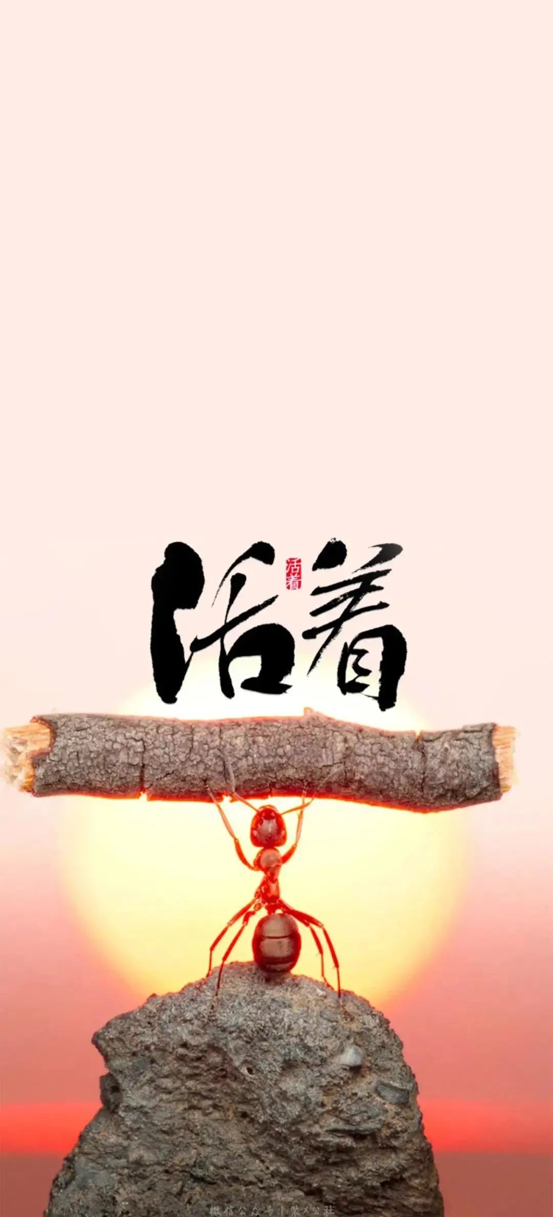 手机壁纸 | 我放下所有回忆 来成全你的爱情 - 炫图天下