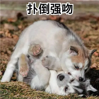 兄弟们，她是真好看！！ - 炫图天下