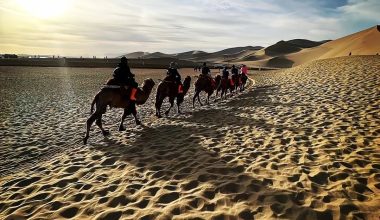 头像背景套图｜景 - 炫图天下