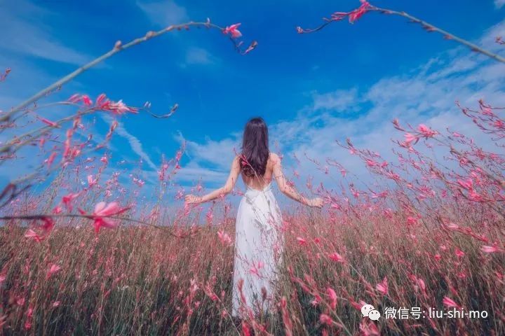 赏花拍照要漂亮，5句摄影口诀，提升人像照片质量 - 炫图天下