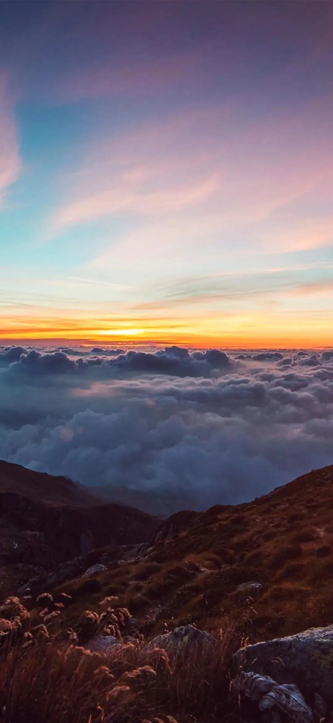 手机壁纸 / 你是我永远追逐不到的一阵风 - 炫图天下