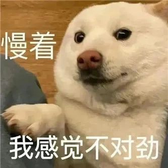 这腿，能玩一年！ - 炫图天下