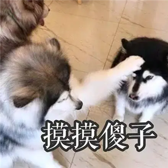 这种身材，啧啧啧！ - 炫图天下