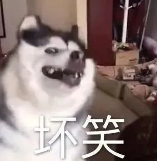 好凶の越南网红！ - 炫图天下