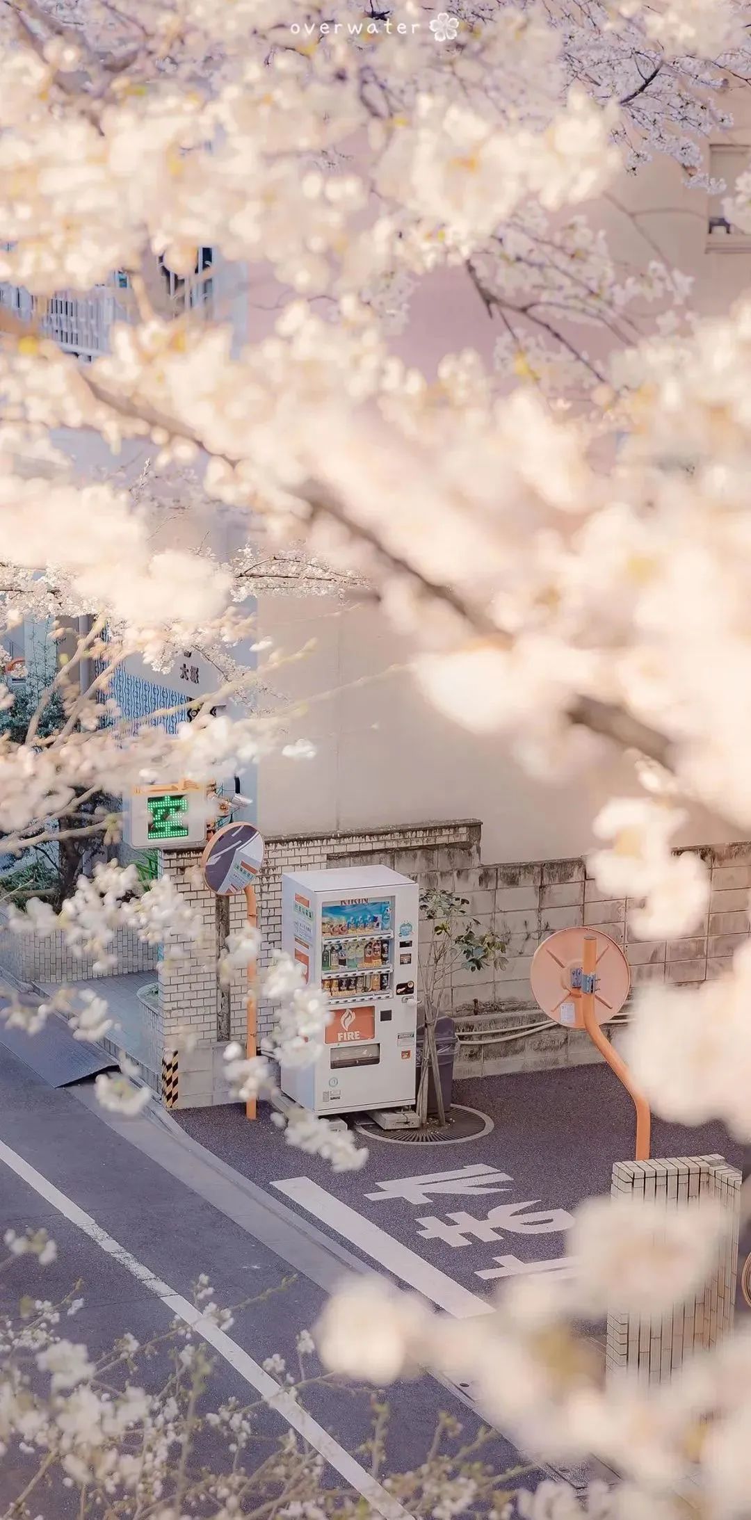 手机壁纸 | 爱着得人却不能永远陪在身旁 - 炫图天下