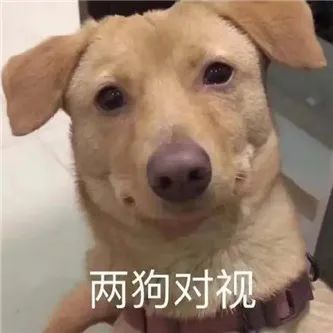 ​紧身裤的诱惑，太绝了！！ - 炫图天下