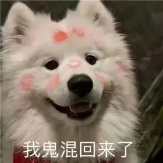 这腿，可以玩几年？？ - 炫图天下