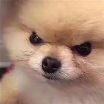 wow，她这身材，顶啊！！ - 炫图天下