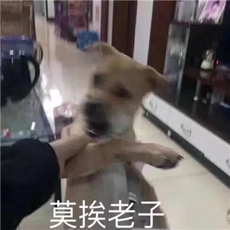 啊，陷进去了… - 炫图天下