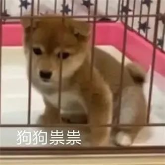 香港の初恋脸！ - 炫图天下
