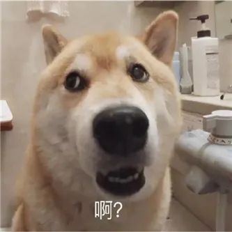 吃一块吧？ - 炫图天下