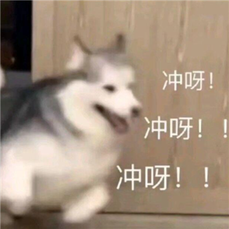 你们太喜欢这种了！ - 炫图天下