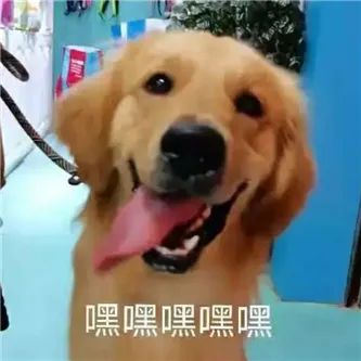 这个台妹，很凶！ - 炫图天下