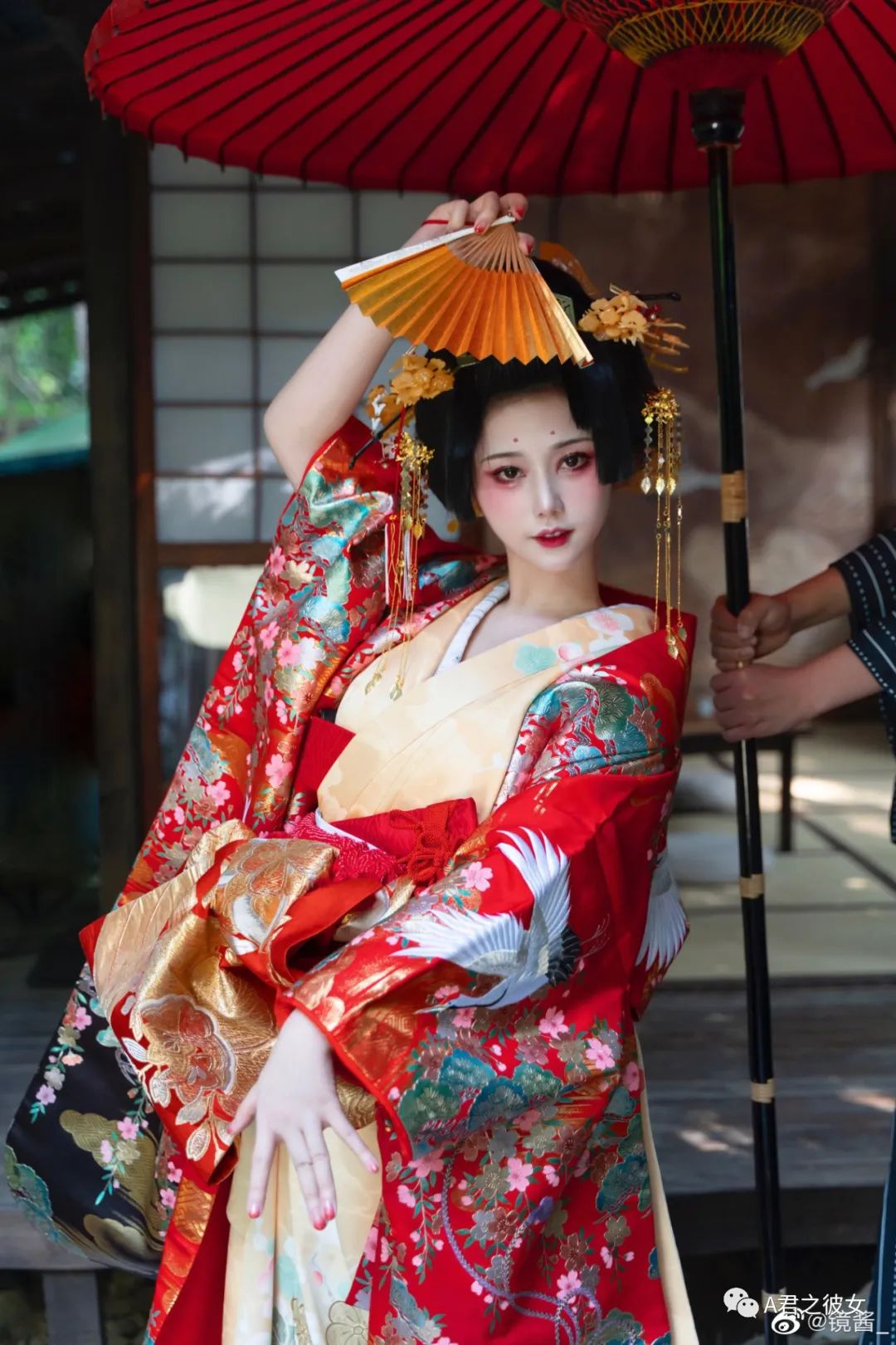 有人生于高台，有人死于灿烂 - 炫图天下