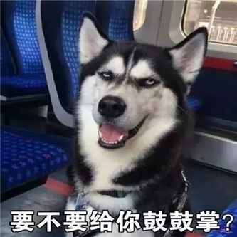 港妹，真不小啊！ - 炫图天下